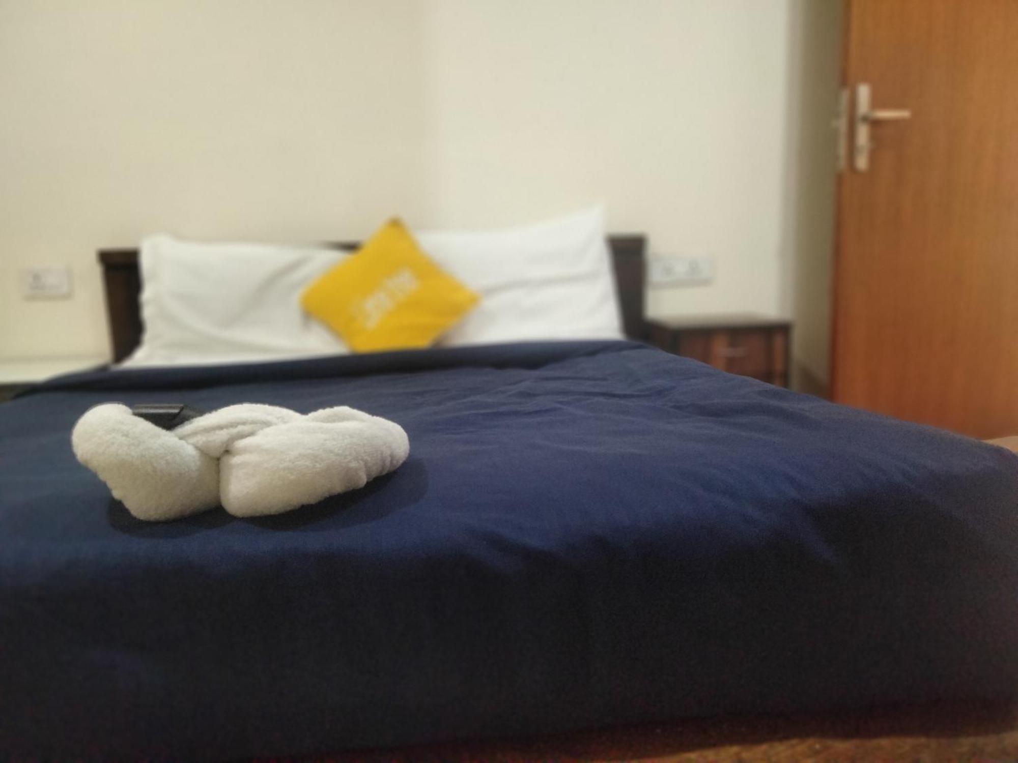 Lime Tree Luxurious 3bhk Serviced Near Medanta Apartment